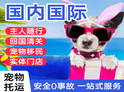 兴义万峰林航空运输国际宠物托运 【国